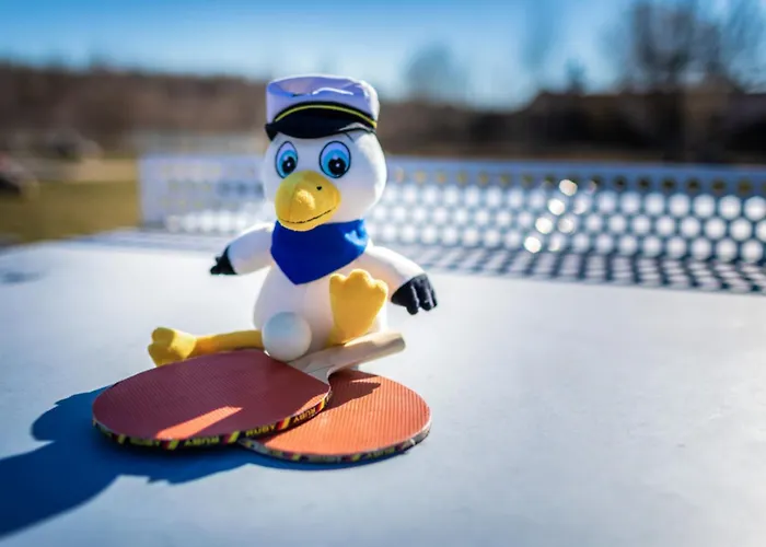 Lagovida Duenenhaus Comfort Familia K Am Stoermthaler Holiday home *